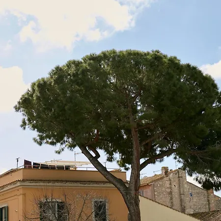 Casa Altarocca - Design *